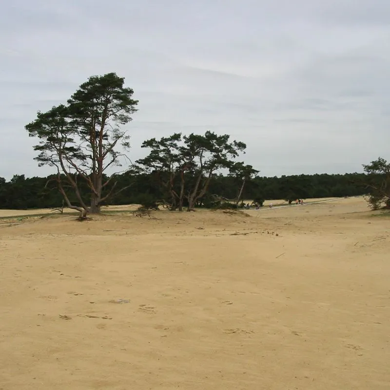 Park de hoge veluwe